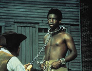 Roots Picture