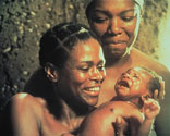 Roots Picture