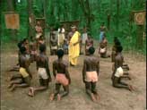 Roots Picture