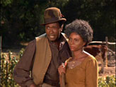 Roots Picture